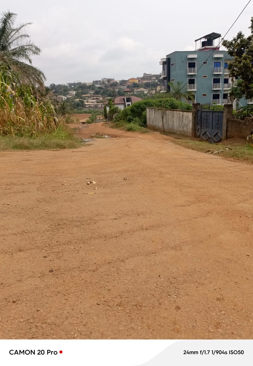 Terrain à vendre - Yaoundé, Mvan, complexe beac - 6000 m2 - 210 000 000 FCFA