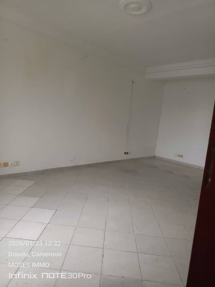 Appartement à louer - Douala, Akwa I, Akwa - 1 salon(s), 1 chambre(s), 1 salle(s) de bains - 150 000 FCFA / mois