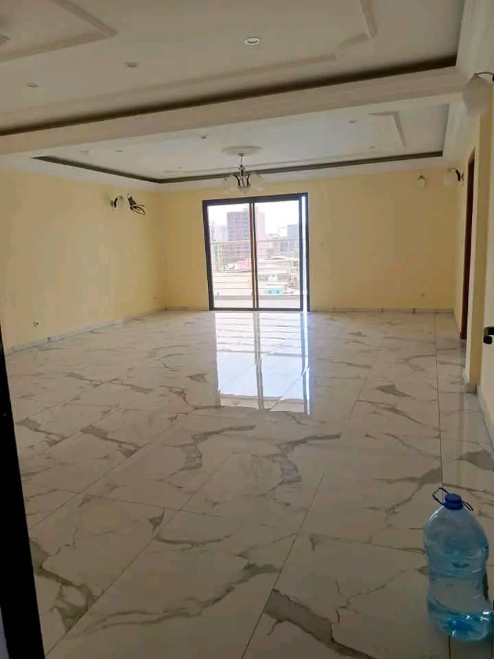 Appartement à louer - Douala, Akwa I, Centre - 1 salon(s), 2 chambre(s), 3 salle(s) de bains - 500 000 FCFA / mois