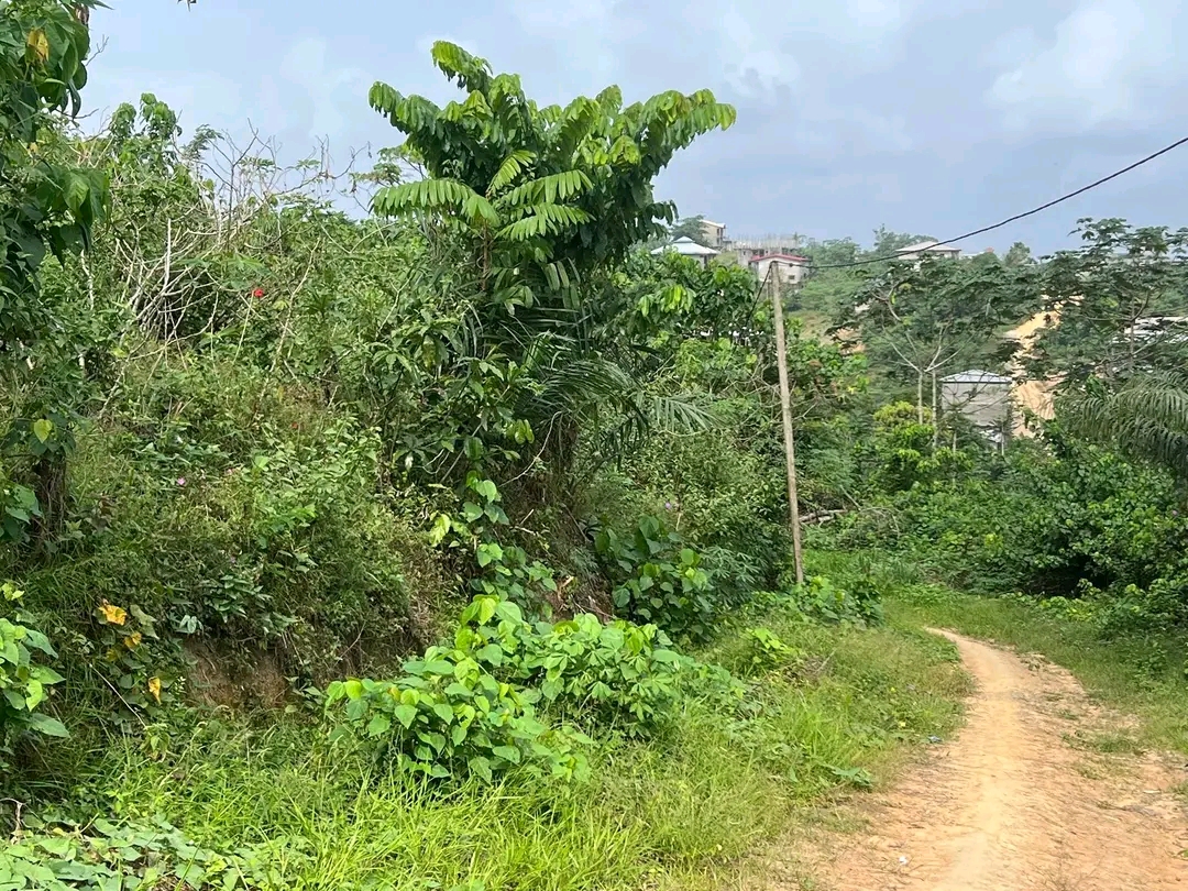 Land for sale at Douala, Ngoma, Ngoma - 1000 m2 - 15 000 000 FCFA