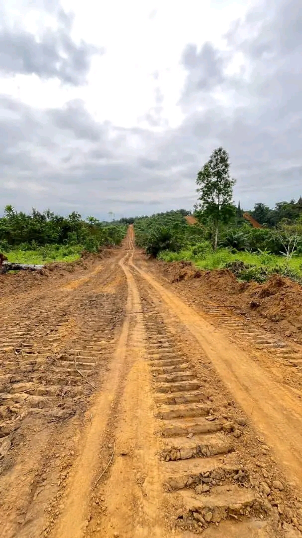 Land for sale at Douala, Bassa, Ngombe - 1000 m2 - 6 000 000 FCFA