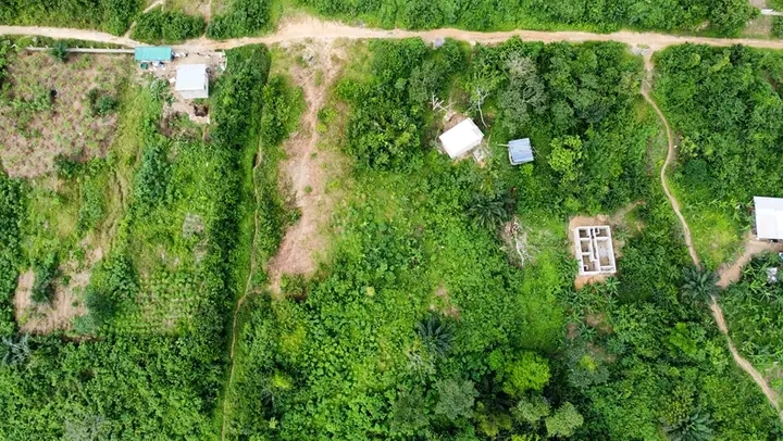 Land for sale at Douala, Bonaberi, Bekoko - 1000 m2 - 18 000 000 FCFA