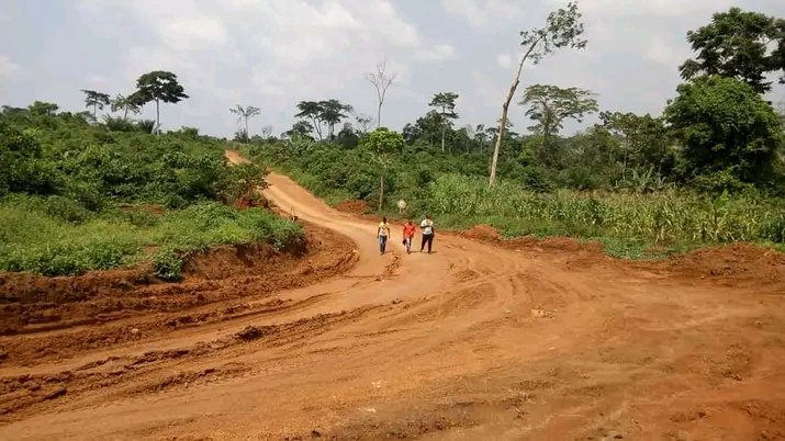 Terrain à vendre - Yaoundé, Soa, A 20min de l'université de SOA - 1000 m2 - 2 000 000 FCFA