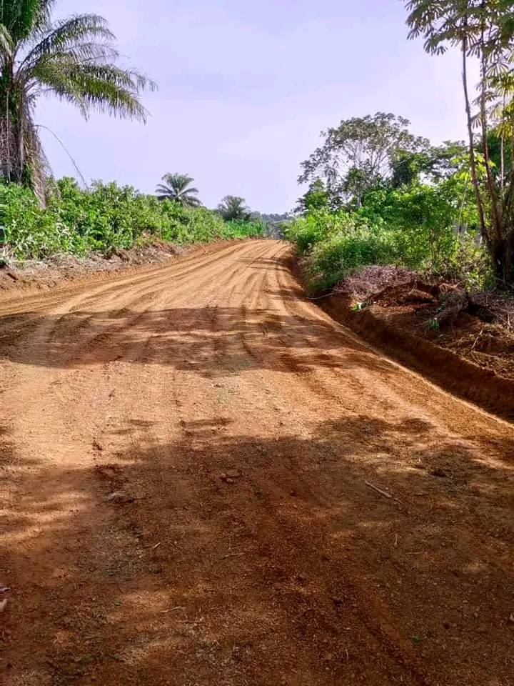 Land for sale at Douala, Bassa, Bonepoupa a 2km du goudron - 1000 m2 - 2 000 000 FCFA