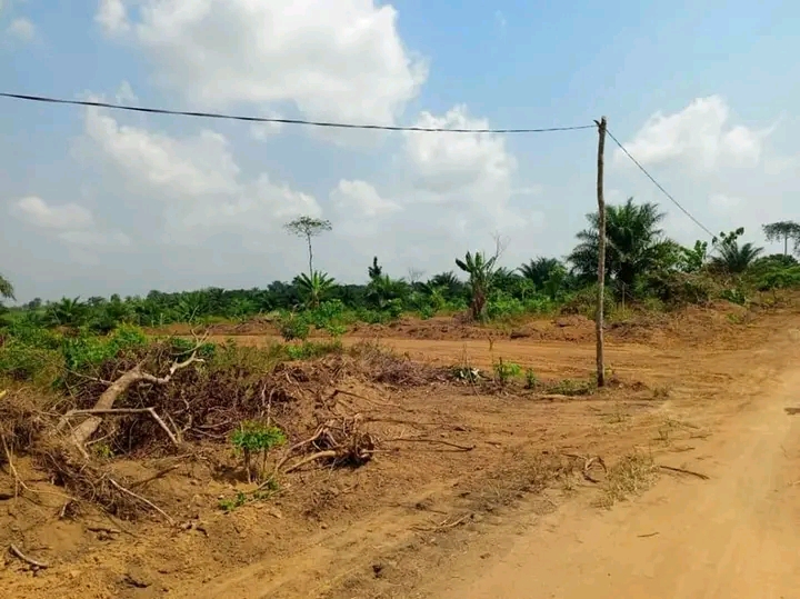 Land for sale at Douala, Bassa, Bomono - 1000 m2 - 8 500 000 FCFA