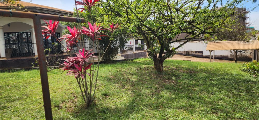 Maison (Villa) à vendre - Yaoundé, Odza, Nkolda - 1 salon(s), 5 chambre(s), 4 salle(s) de bains - 125 000 000 FCFA