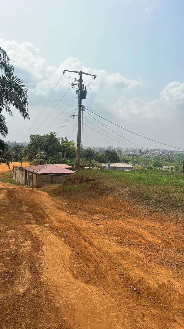 Terrain à vendre - Douala, Japoma, entre dibamba biche - 2000000 m2 - 2 000 000 FCFA