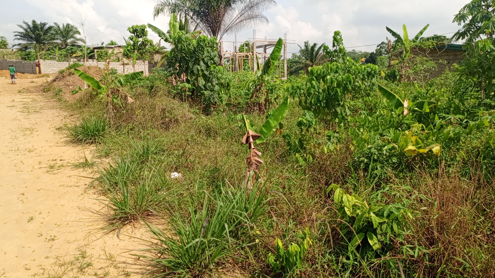 Terrain à vendre - Douala, PK 21, Après le carrefour Matango - 20000 m2 - 3 000 000 FCFA