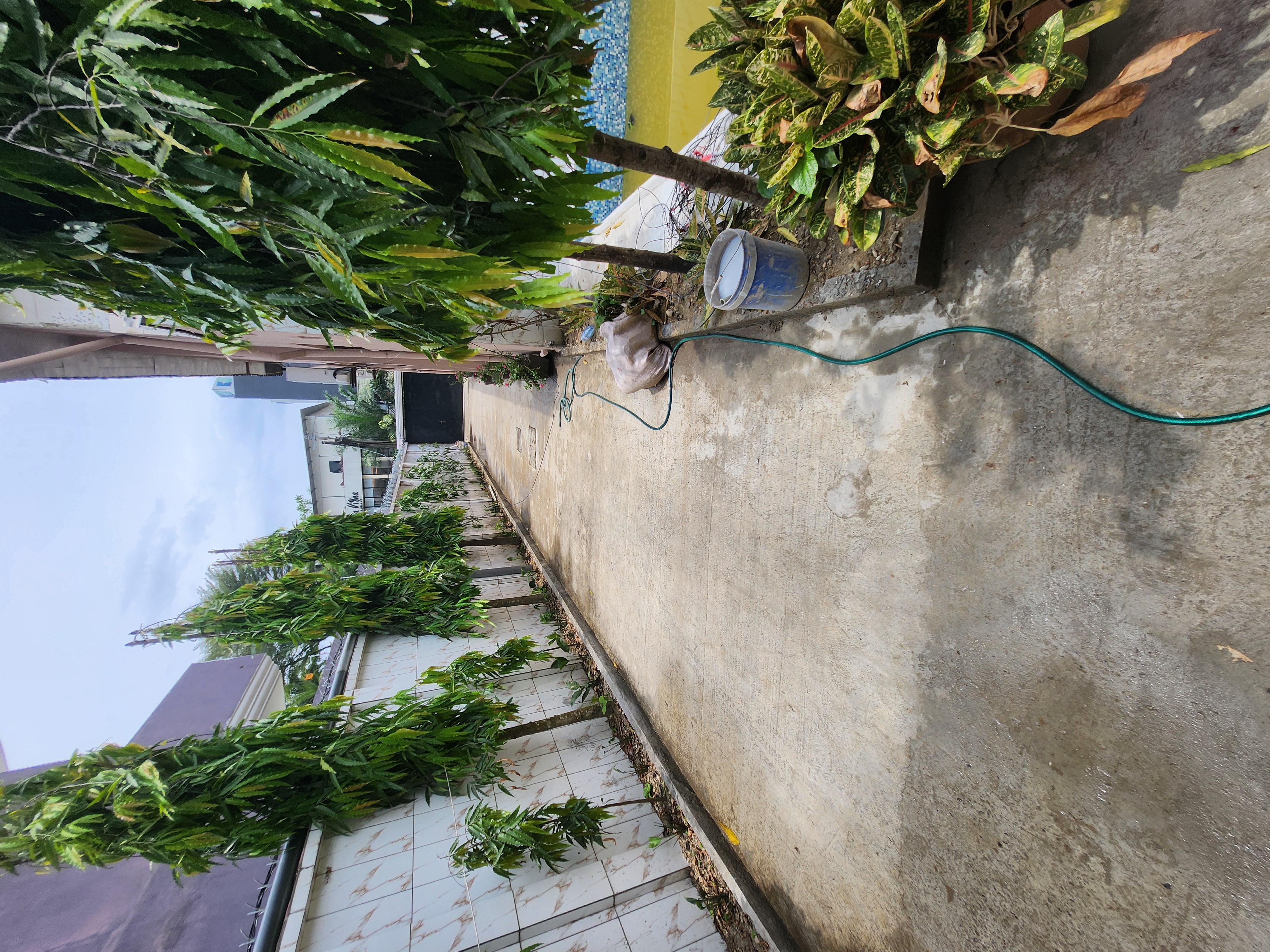 House (Duplex) to rent - Douala, Bonapriso, Goodies - 1 living room(s), 4 bedroom(s), 5 bathroom(s) - 2 500 000 FCFA / month