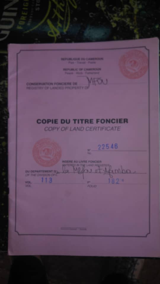 Land for sale at Yaoundé, Nsimalen, Terrains a vendre a nsimalen  - 2000 m2 - 12 000 000 FCFA