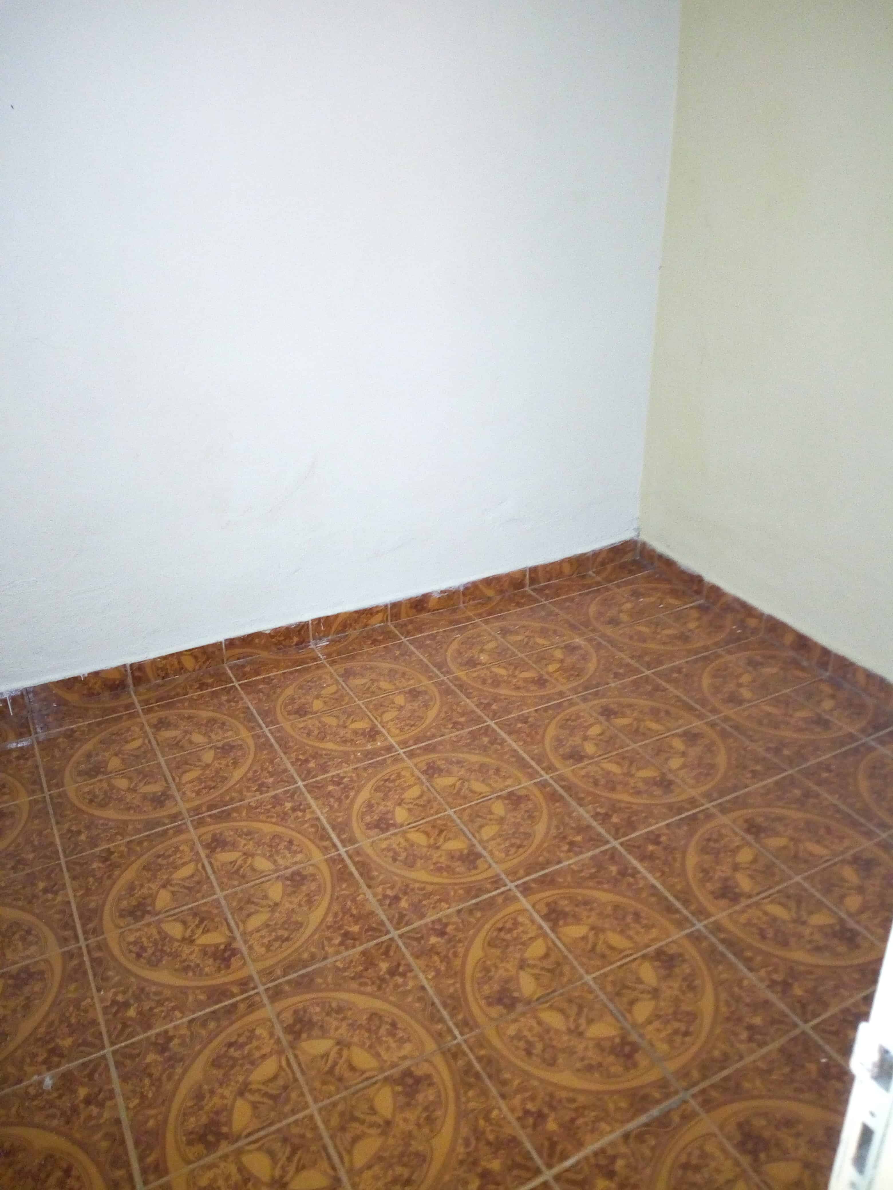 House (Wayside home) to rent - Yaoundé, Biyem-Assi, Studio moderne à louer à biyem assi - 1 living room(s), 2 bedroom(s), 1 bathroom(s) - 60 000 FCFA / month