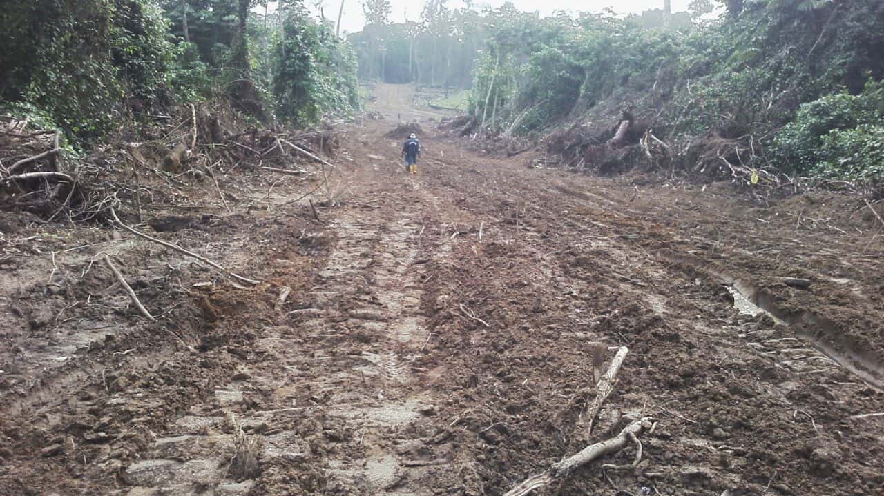 Land for sale at Kribi, Bebambwe,  - 50000 m2 - 175 000 000 FCFA
