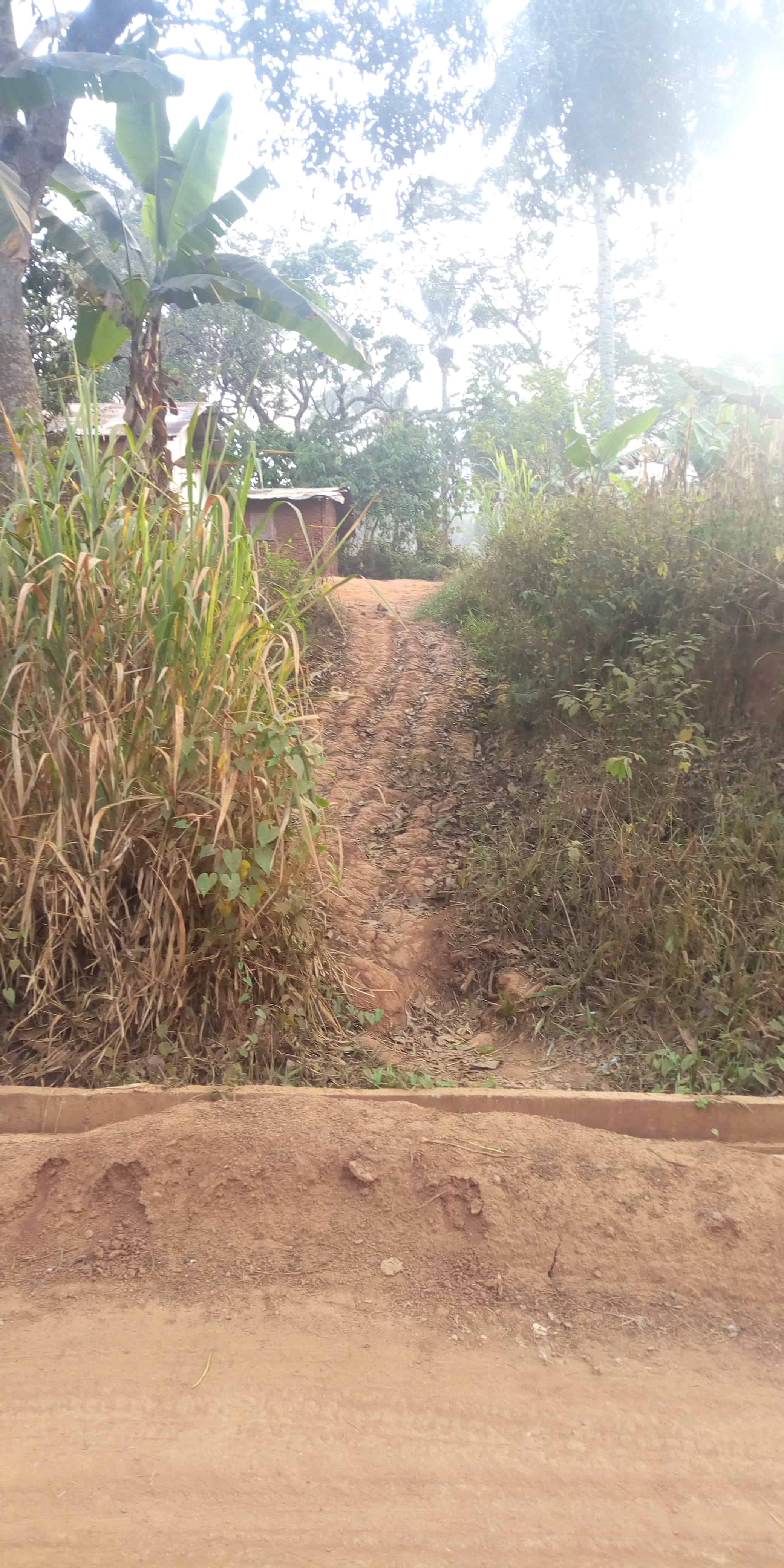 Land for sale at Yaoundé, Fébé-Village, 1 hectares à vendre à Yaoundé Febe village - 10000 m2 - 100 000 001 FCFA