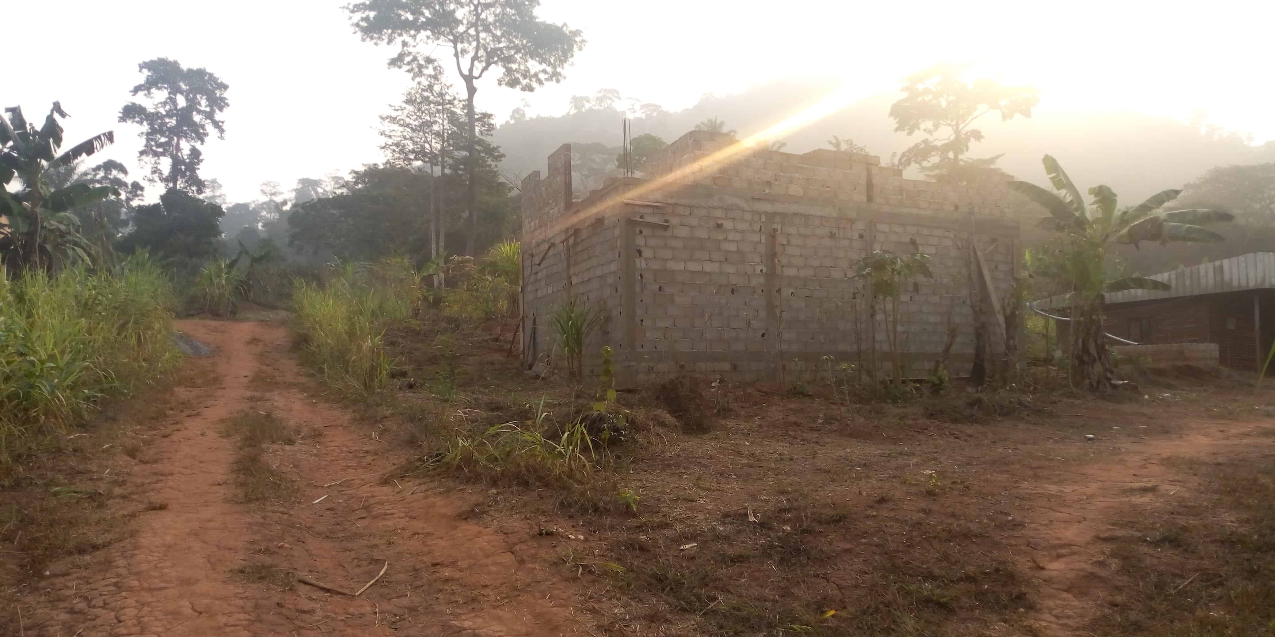 Terrain à vendre - Yaoundé, Fébé-Village, 1 hectares à vendre à Yaoundé Febe village - 10000 m2 - 100 000 001 FCFA