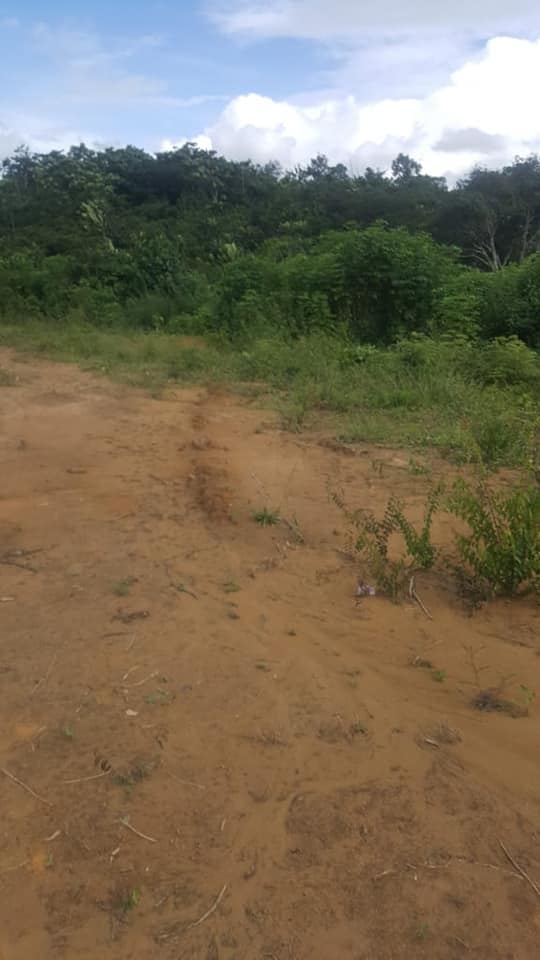 Terrain à vendre - Douala, Yassa, Yatika - 600 m2 - 16 000 000 FCFA