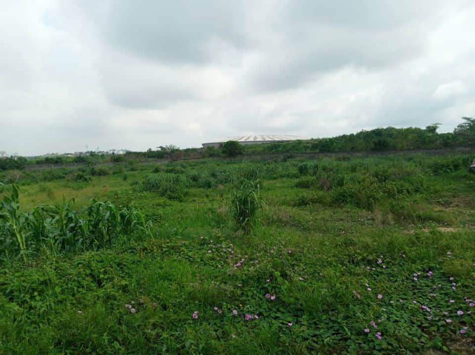 Terrain à vendre - Douala, Kotto, lendi - 500000 m2 - 3 000 000 000 FCFA