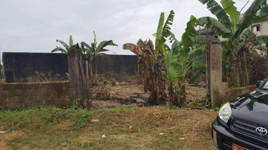 Terrain à vendre - Douala, Logpom, A quelques mètres de l'axe central - 482 m2 - 35 000 000 FCFA