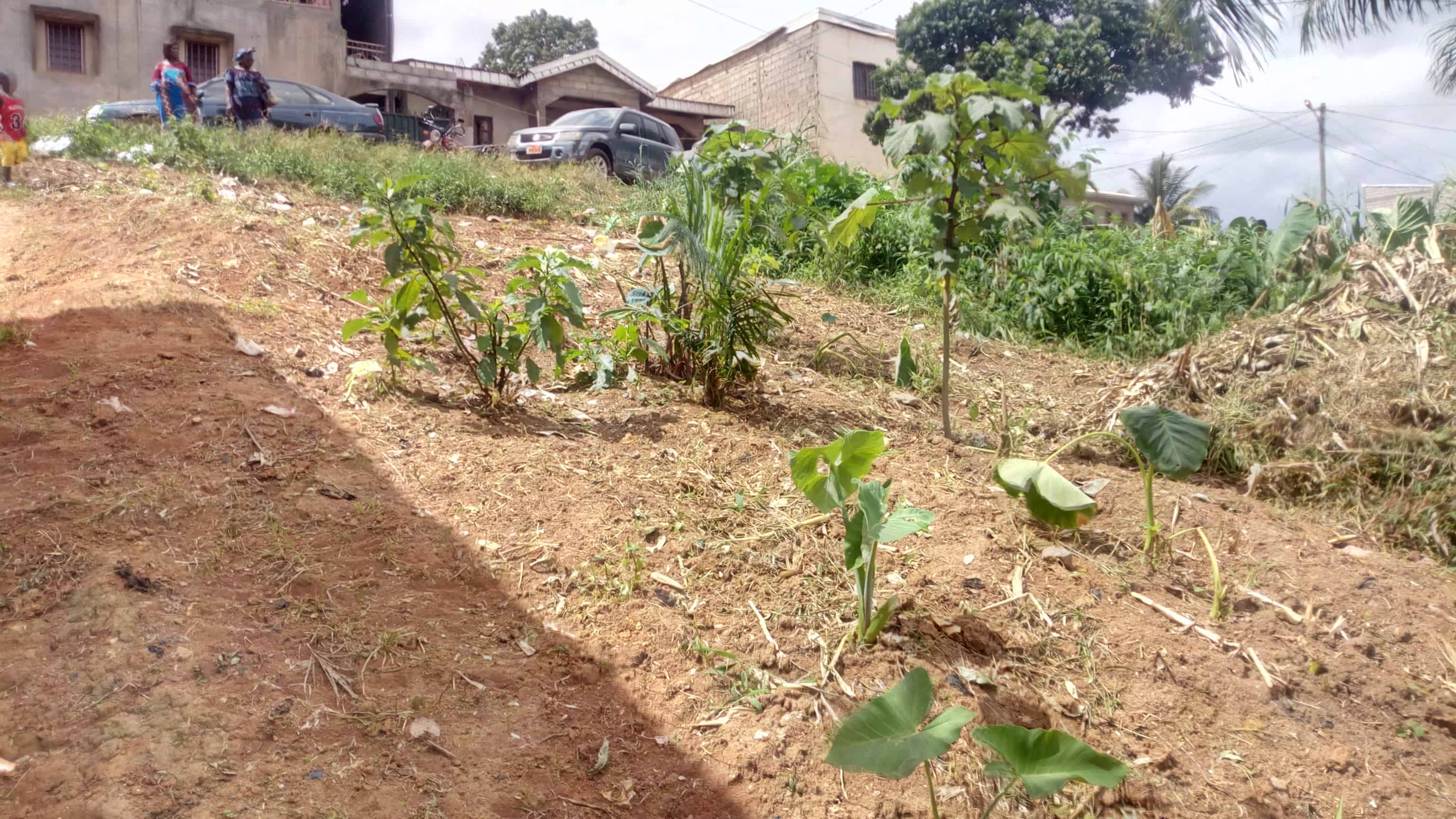 Land for sale at Yaoundé, Nkolmeseng, Terrain pour habition à vendre Yaoundé essos nkolmesseng - 400 m2 - 6 800 000 FCFA