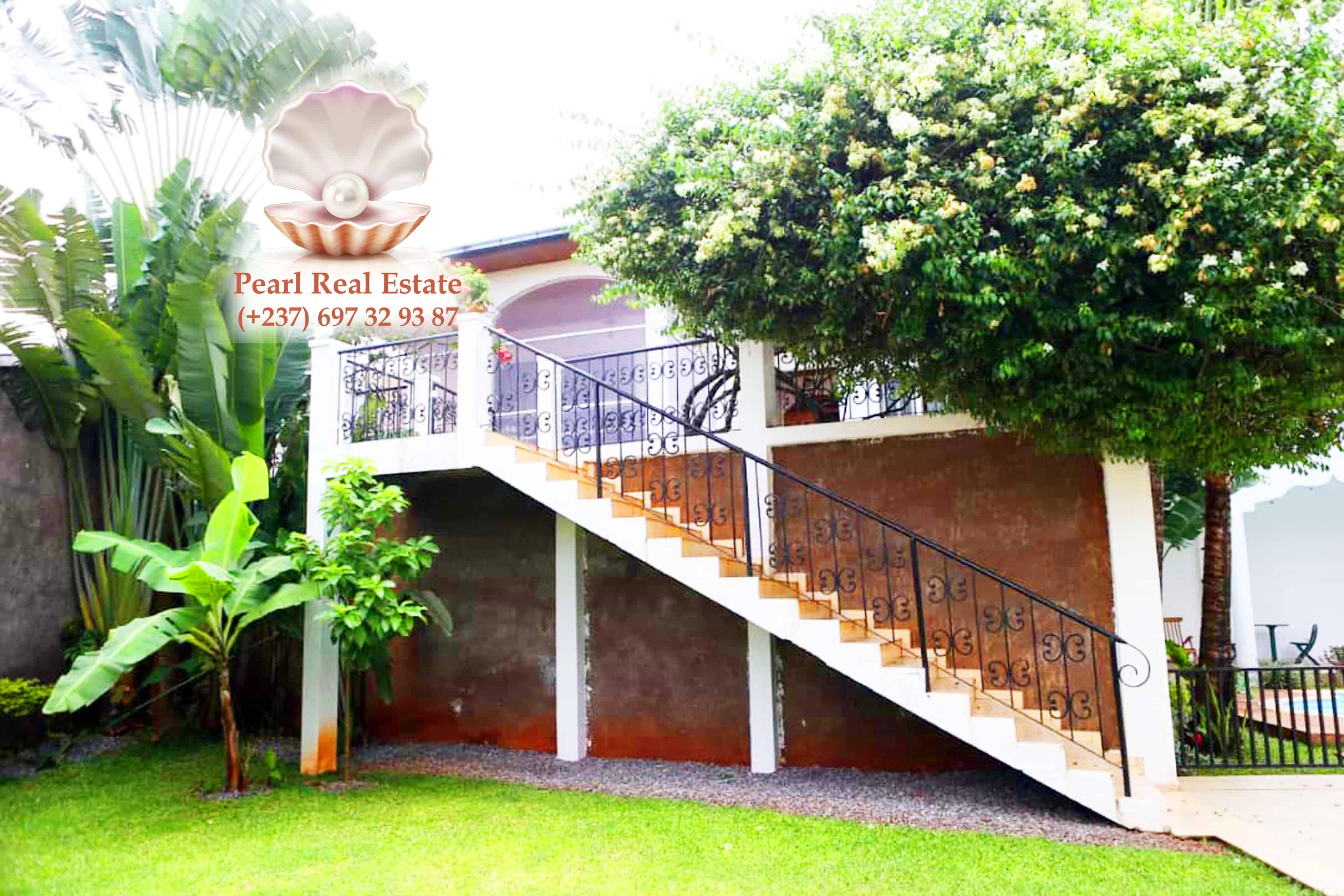 Maison (Villa) à vendre - Yaoundé, Bastos, Bastos - 1 salon(s), 4 chambre(s), 3 salle(s) de bains - 500 000 000 FCFA