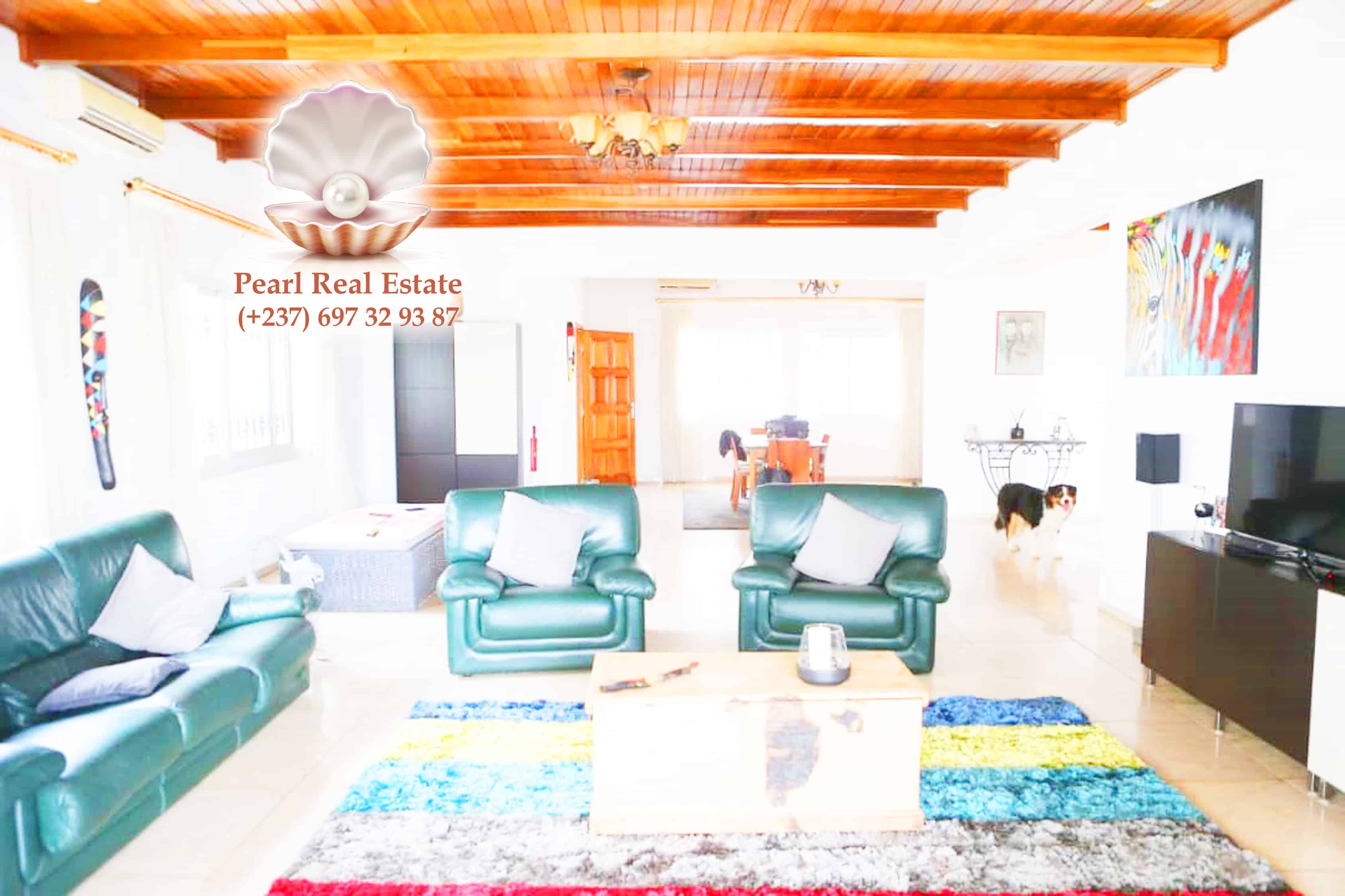 Maison (Villa) à vendre - Yaoundé, Bastos, Bastos - 1 salon(s), 4 chambre(s), 3 salle(s) de bains - 500 000 000 FCFA