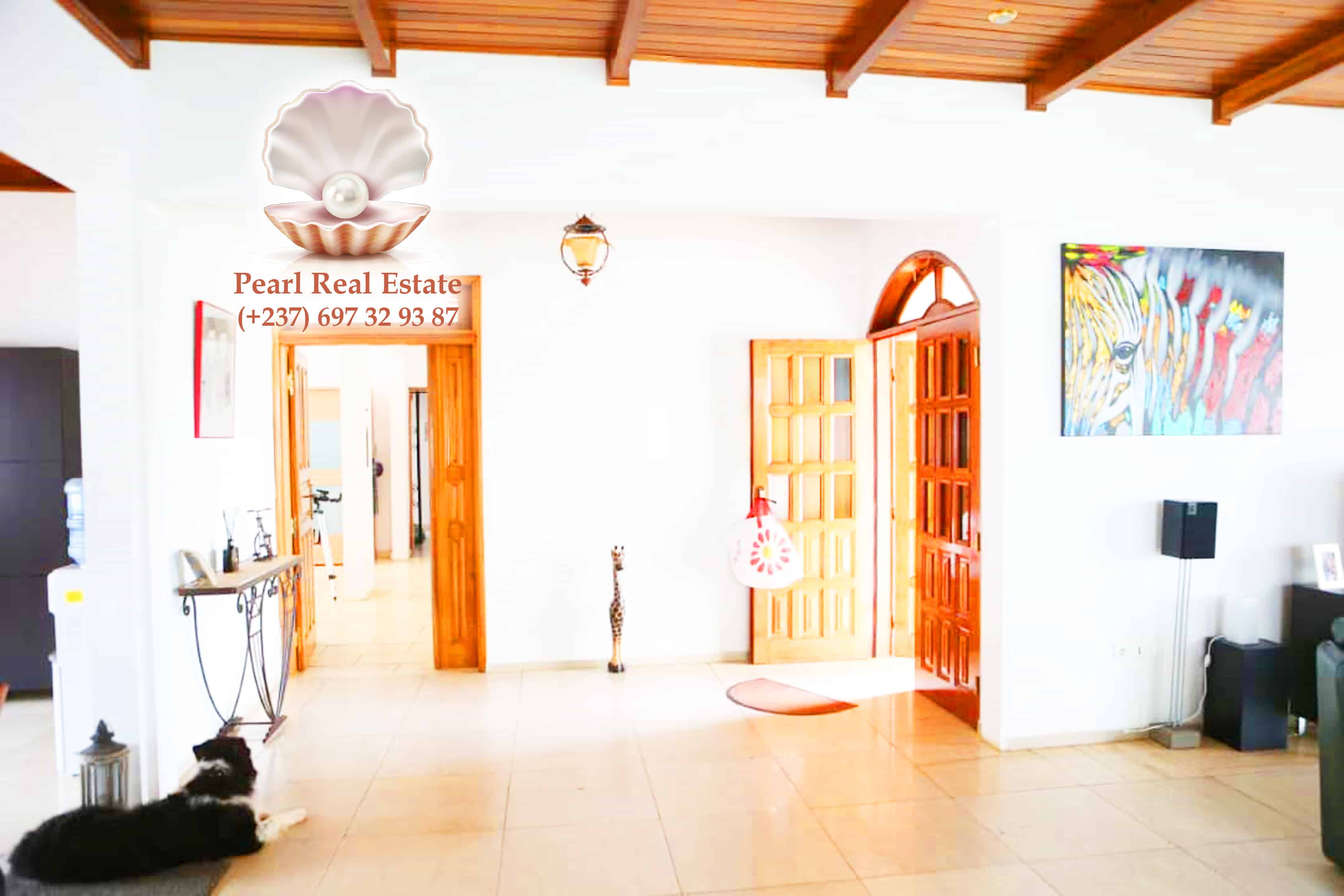 Maison (Villa) à vendre - Yaoundé, Bastos, Bastos - 1 salon(s), 4 chambre(s), 3 salle(s) de bains - 500 000 000 FCFA