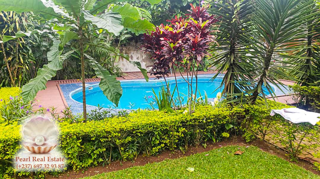 Maison (Villa) à louer - Yaoundé, Bastos, Bastos - 1 salon(s), 4 chambre(s), 3 salle(s) de bains - 2 000 000 FCFA / mois