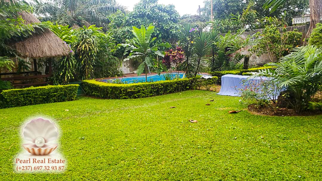 Maison (Villa) à louer - Yaoundé, Bastos, Bastos - 1 salon(s), 4 chambre(s), 3 salle(s) de bains - 2 000 000 FCFA / mois