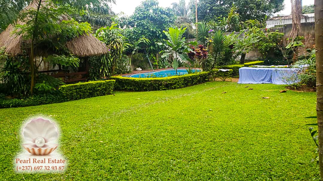 Maison (Villa) à louer - Yaoundé, Bastos, Bastos - 1 salon(s), 4 chambre(s), 3 salle(s) de bains - 2 000 000 FCFA / mois