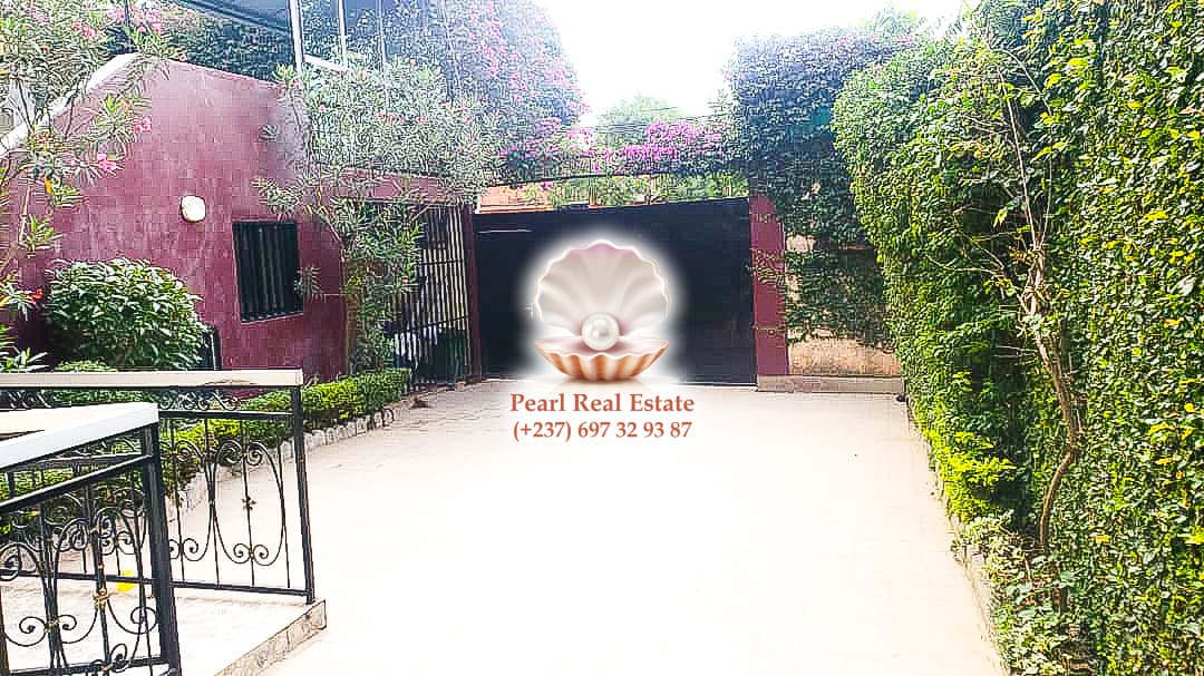 Maison (Villa) à vendre - Yaoundé, Bastos, Bastos - 1 salon(s), 4 chambre(s), 3 salle(s) de bains - 500 000 000 FCFA