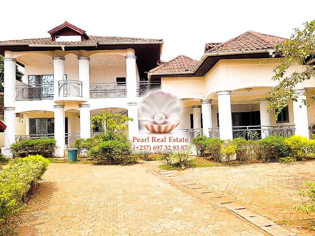 Maison (Villa) à louer - Yaoundé, Bastos, Bastos - 1 salon(s), 4 chambre(s), 3 salle(s) de bains - 1 200 000 FCFA / mois