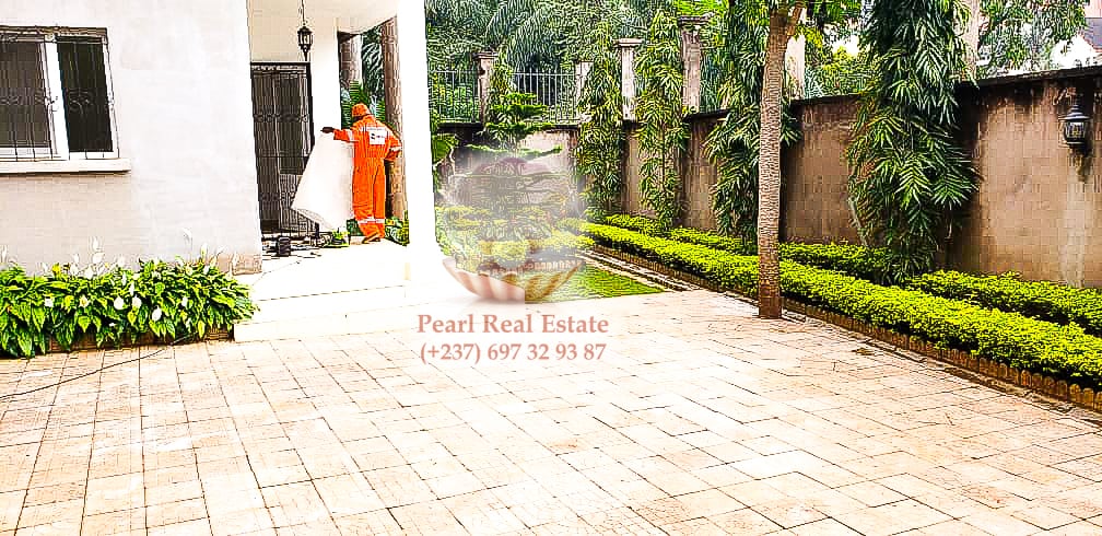 Appartement à louer - Yaoundé, Bastos, Bastos - 1 salon(s), 2 chambre(s), 1 salle(s) de bains - 400 000 FCFA / mois