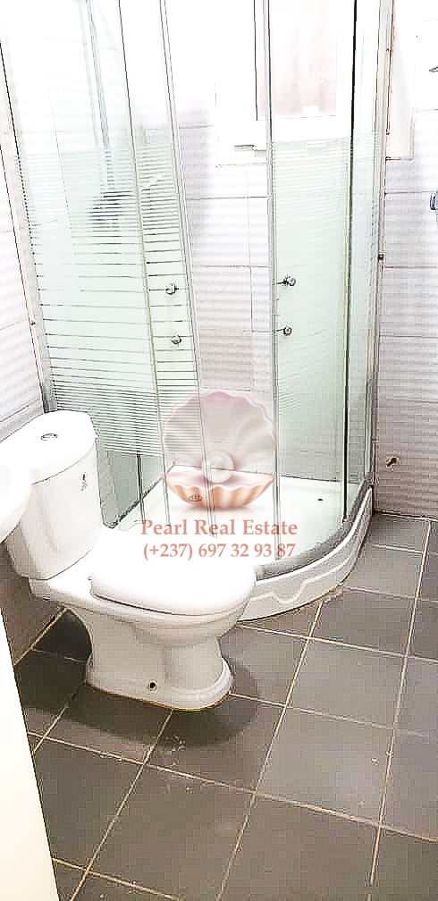 Appartement à louer - Yaoundé, Bastos, Bastos - 1 salon(s), 2 chambre(s), 1 salle(s) de bains - 400 000 FCFA / mois
