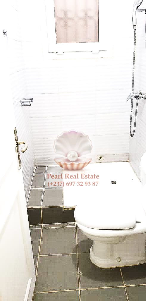 Appartement à louer - Yaoundé, Bastos, Bastos - 1 salon(s), 2 chambre(s), 1 salle(s) de bains - 400 000 FCFA / mois