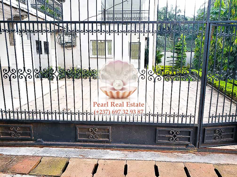 Appartement à louer - Yaoundé, Bastos, Bastos - 1 salon(s), 2 chambre(s), 1 salle(s) de bains - 400 000 FCFA / mois