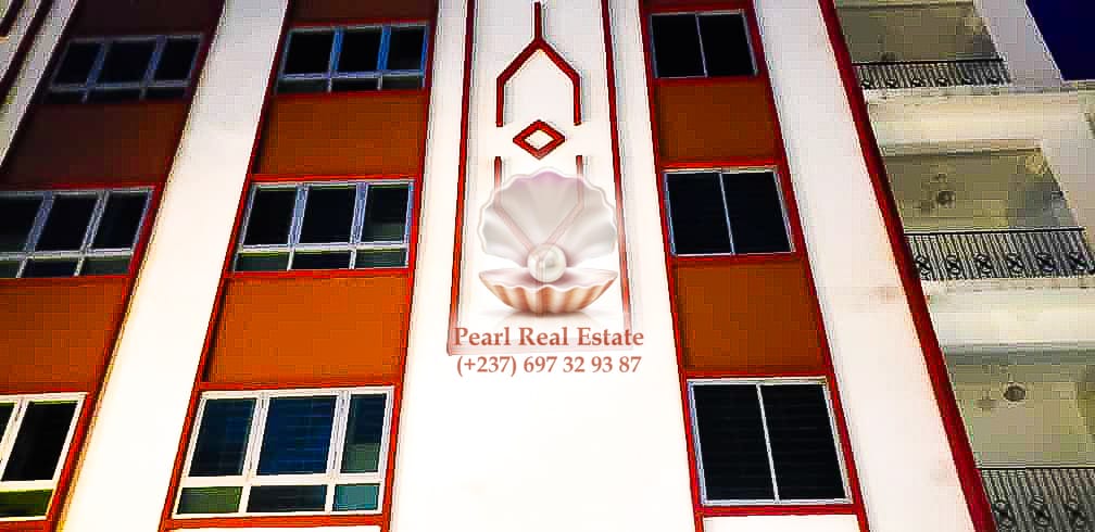 Appartement à louer - Yaoundé, Bastos, Bastos - 1 salon(s), 2 chambre(s), 1 salle(s) de bains - 400 000 FCFA / mois