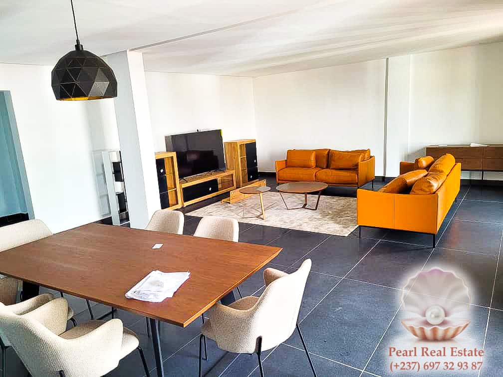 Appartement à louer - Yaoundé, Bastos, Bastos - 1 salon(s), 3 chambre(s), 2 salle(s) de bains - 2 000 000 FCFA / mois