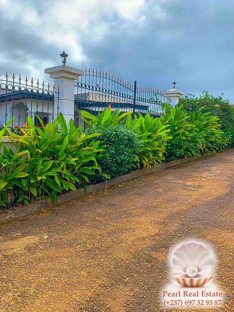 Maison (Villa) à vendre - Yaoundé, Odza, Petit marché - 1 salon(s), 4 chambre(s), 3 salle(s) de bains - 200 000 000 FCFA