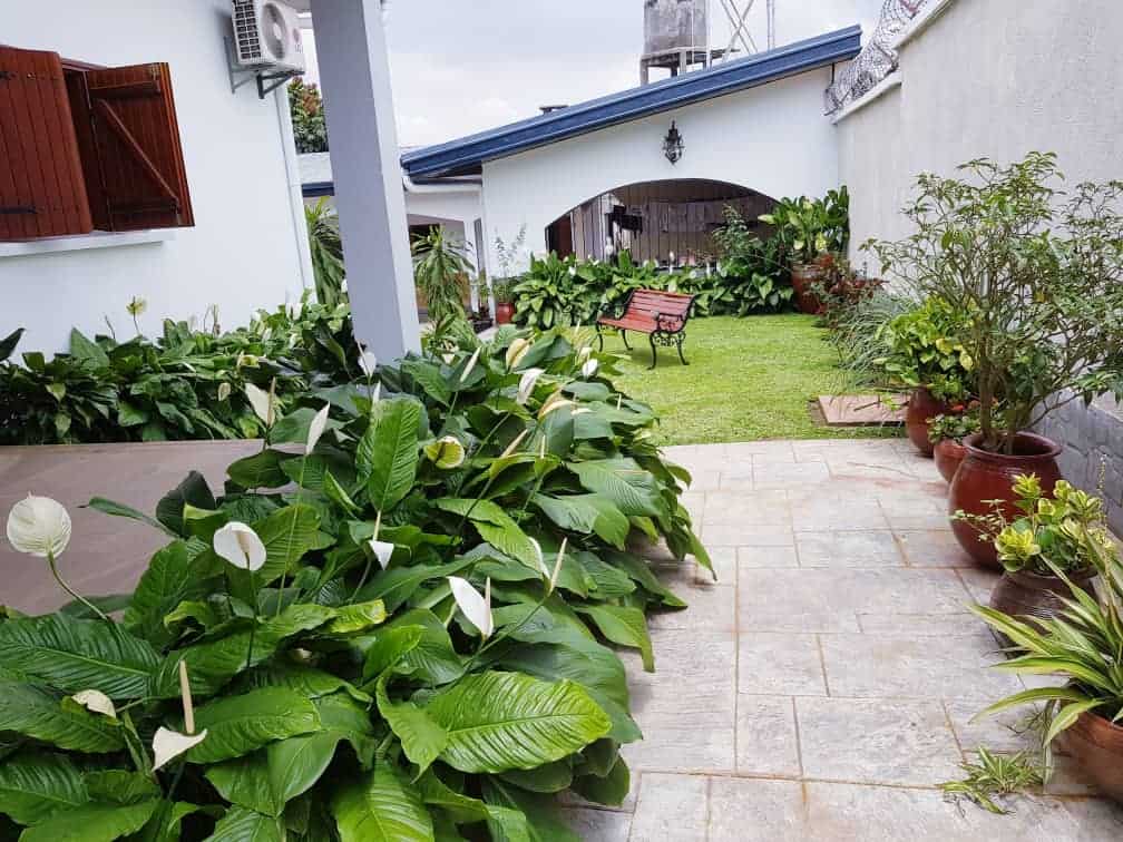 Maison (Villa) à vendre - Yaoundé, Odza, Auberge bleue - 2 salon(s), 6 chambre(s), 5 salle(s) de bains - 170 000 000 FCFA