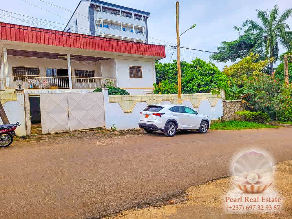 Maison (Villa) à vendre - Yaoundé, Bastos, Bastos - 1 salon(s), 4 chambre(s), 3 salle(s) de bains - 300 000 000 FCFA