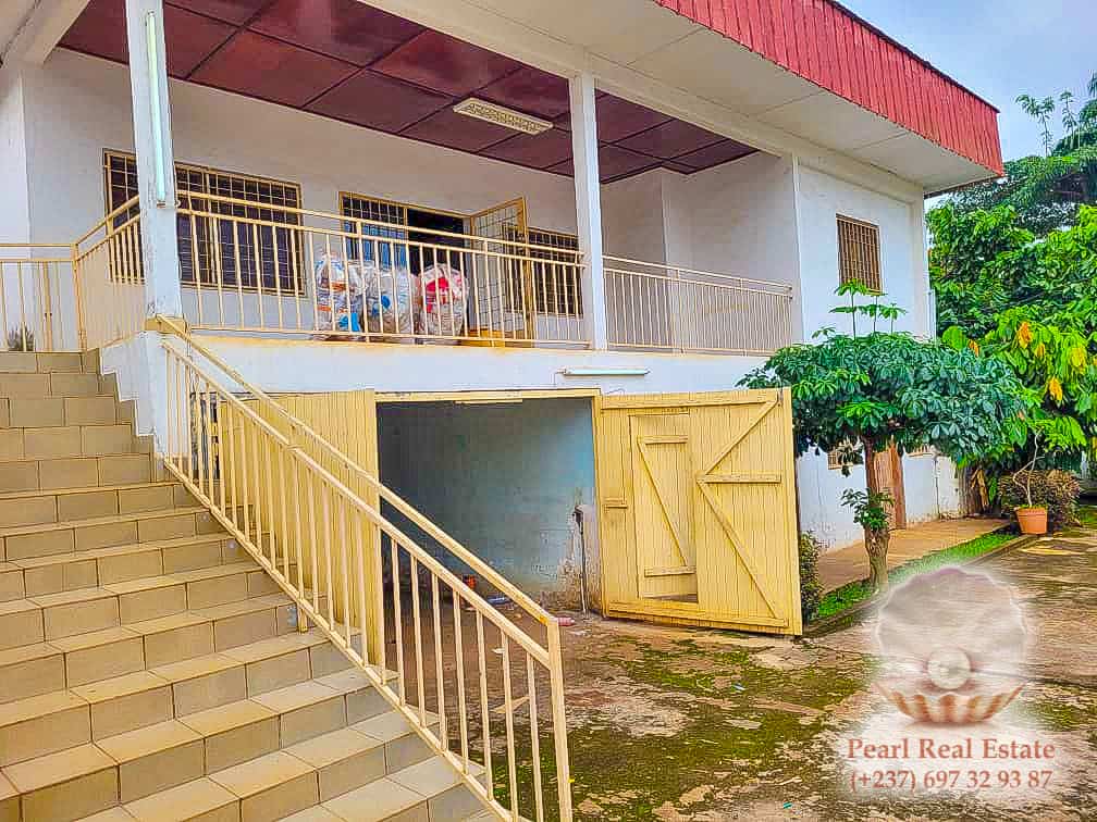 Maison (Villa) à vendre - Yaoundé, Bastos, Bastos - 1 salon(s), 4 chambre(s), 3 salle(s) de bains - 300 000 000 FCFA