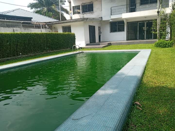 Maisons, villas, duplex, triplex à louer à Douala, Cameroun