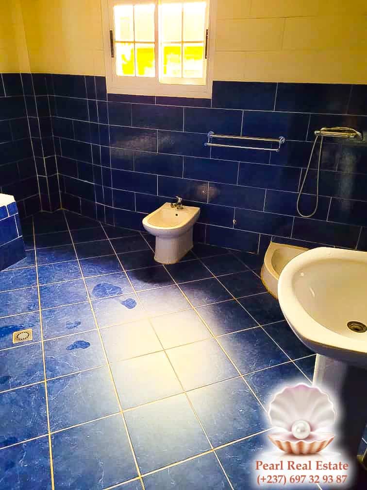 Maison (Villa) à louer - Yaoundé, Bastos, Bastos - 1 salon(s), 4 chambre(s), 3 salle(s) de bains - 5 000 000 FCFA / mois