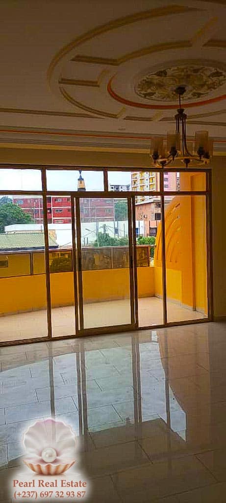 Appartement à louer - Yaoundé, Bastos, Dovv Bastos - 1 salon(s), 2 chambre(s), 1 salle(s) de bains - 1 000 000 FCFA / mois