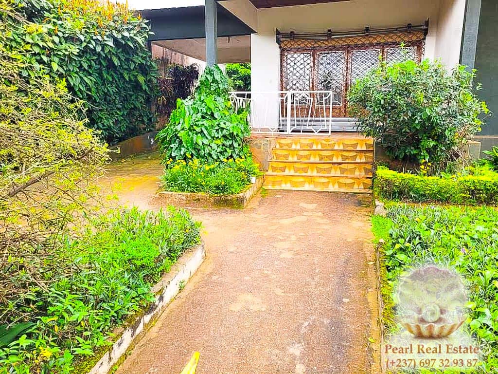 Maison (Villa) à louer - Yaoundé, Quartier Fouda, Omnisports - 1 salon(s), 4 chambre(s), 3 salle(s) de bains - 500 000 FCFA / mois