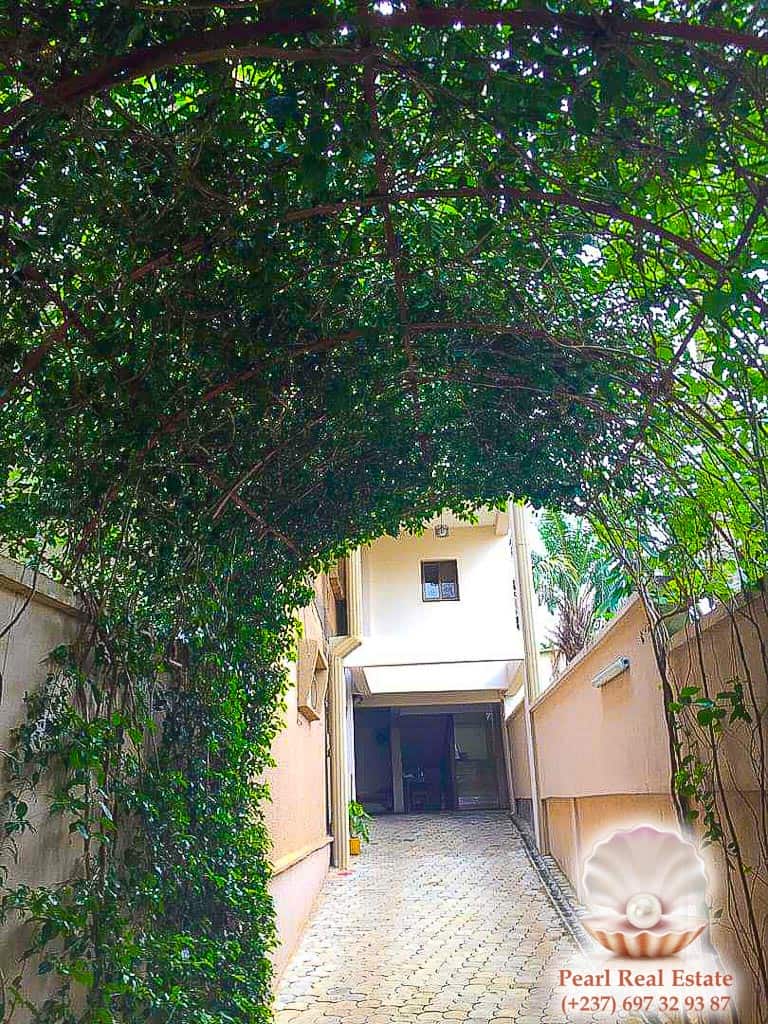 Appartement à louer - Yaoundé, Bastos, Ambassade de Chine - 1 salon(s), 2 chambre(s), 1 salle(s) de bains - 500 000 FCFA / mois
