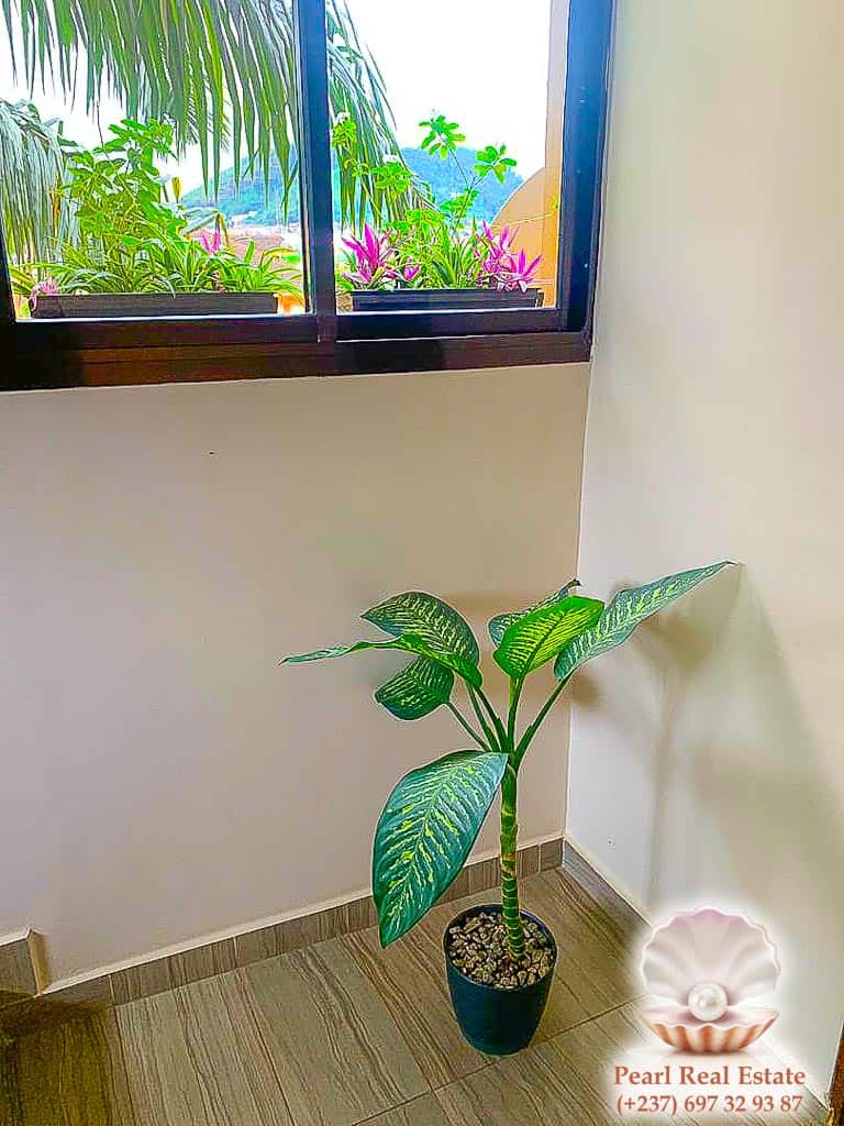 Appartement à louer - Yaoundé, Bastos, Ambassade de Chine - 1 salon(s), 2 chambre(s), 1 salle(s) de bains - 500 000 FCFA / mois