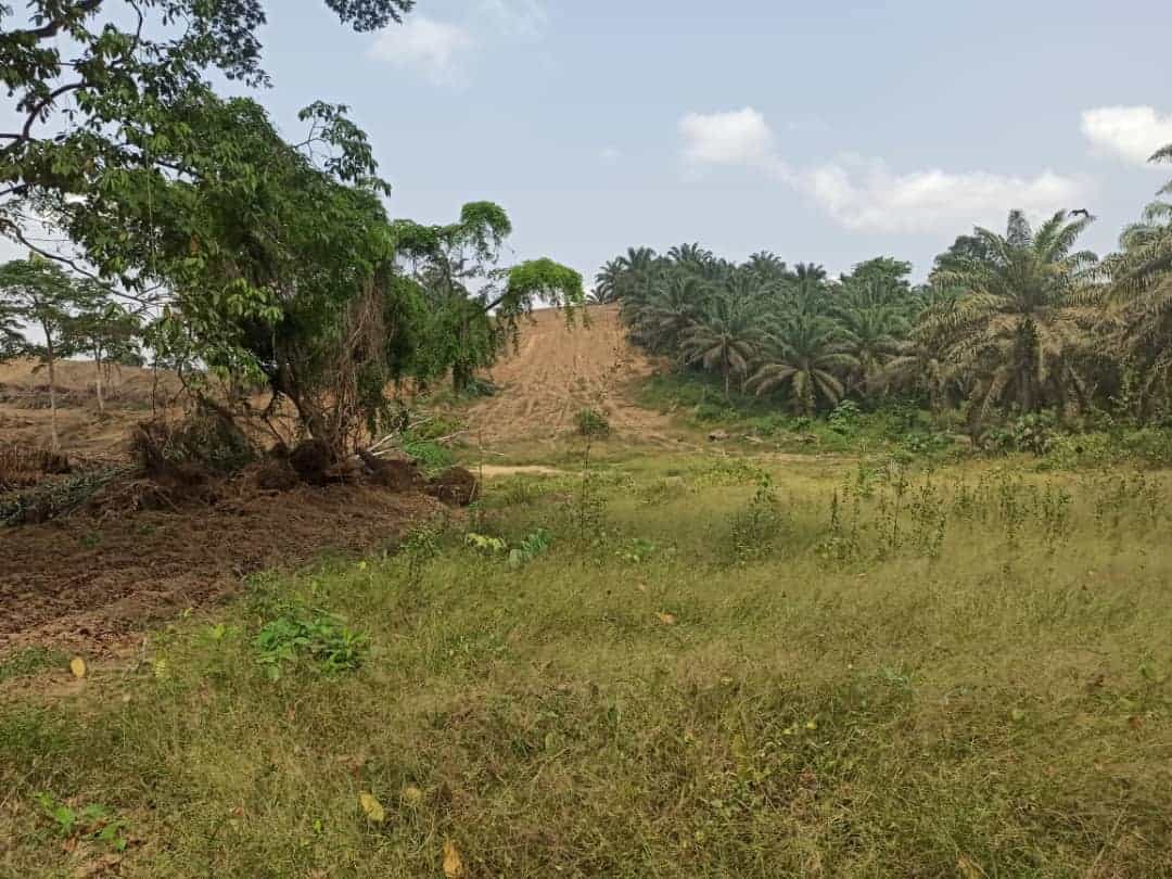 Terrain à vendre - Douala, Lendi, Ngombé (Direct apres Lendi quartier general) - 1000 m2 - 8 000 000 FCFA