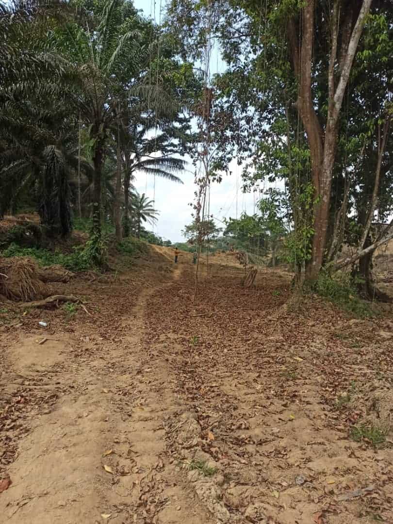 Terrain à vendre - Douala, Lendi, Ngombé (Direct apres Lendi quartier general) - 1000 m2 - 8 000 000 FCFA
