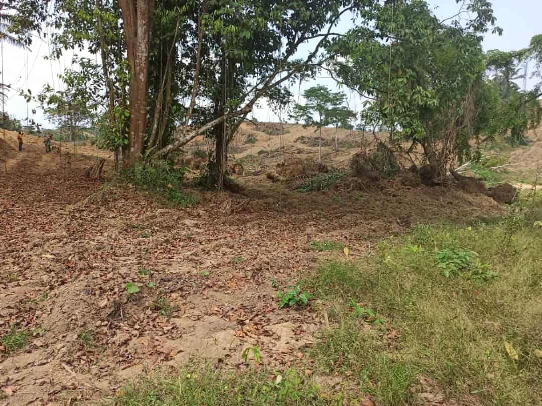 Terrain à vendre - Douala, Lendi, Ngombé (Direct apres Lendi quartier general) - 1000 m2 - 8 000 000 FCFA
