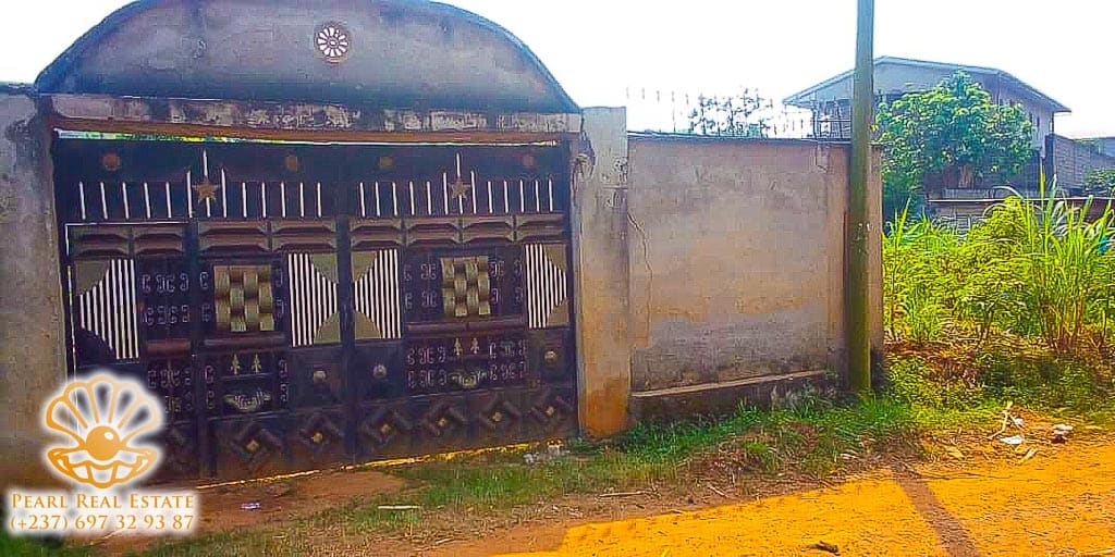 Maison (Concession) à vendre - Yaoundé, Abome, Tradex - 2 salon(s), 4 chambre(s), 4 salle(s) de bains - 40 000 000 FCFA